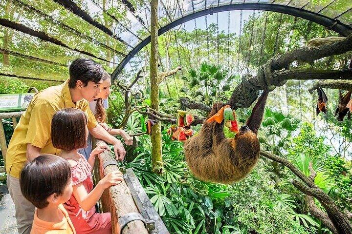 Bilhetes para o Zoo de Singapura com passeio de trânsito