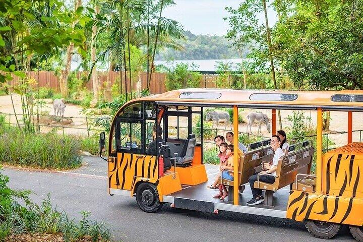 Bilhetes para o Zoo de Singapura com passeio de trânsito