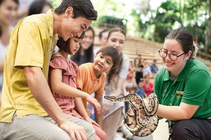 Bilhetes para o Zoo de Singapura com passeio de trânsito