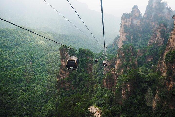 Fuld dag Zhangjiajie Forest Park Private Avatar Tour VIP valgfri