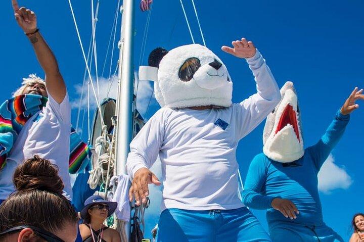 プラヤデルカルメンからの交通機関を利用したムヘレス島への豪華なカタマランツアー