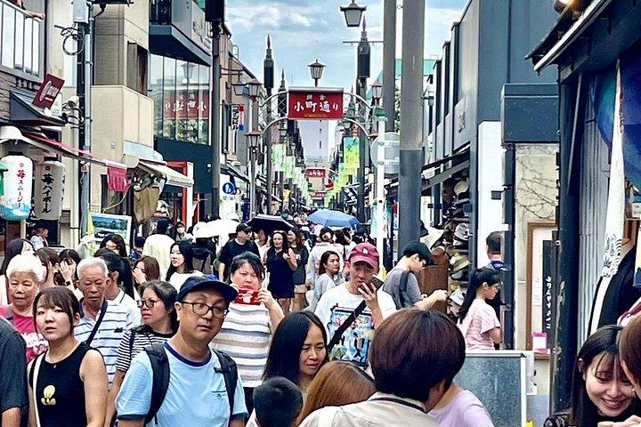 Walk & Drive - KAMAKURA DEEP TOUR see more w/ a certified guide
