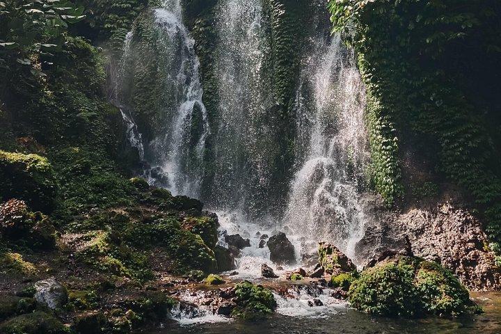 Hidden North Waterfall Bali All inclusive