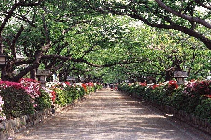 Walk & Drive - KAMAKURA DEEP TOUR see more w/ a certified guide