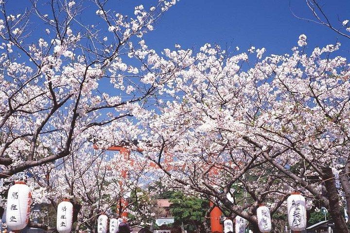 Walk & Drive - KAMAKURA DEEP TOUR see more w/ a certified guide