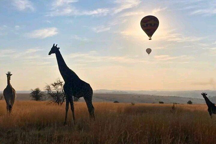 Air Ballooning Safari Erlebnis ab Johannesburg und Pretoria