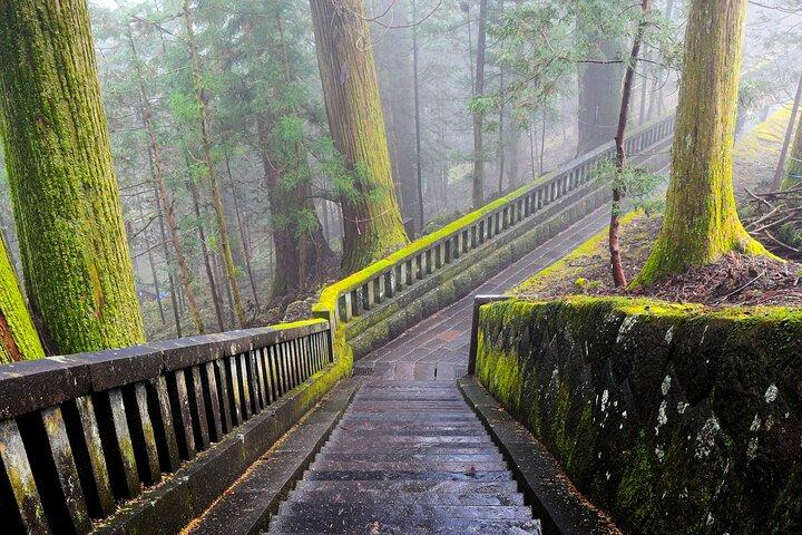 Nikko Private Sightseeing tilpasset engelsk dagstur