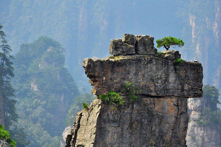 Fuld dag Zhangjiajie Forest Park Private Avatar Tour VIP valgfri