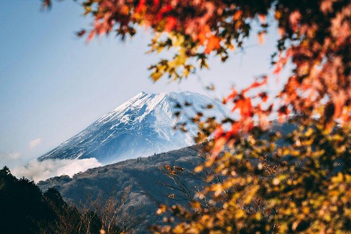 Mt. Fuji Hidden Gems: Secret Viewpoints & Instagram Spots Tour
