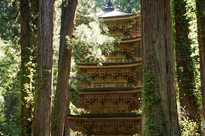 Mt. Fuji Hidden Gems: Secret Viewpoints & Instagram Spots Tour