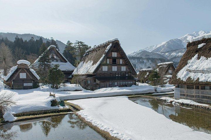 Mt. Fuji Hidden Gems: Secret Viewpoints & Instagram Spots Tour