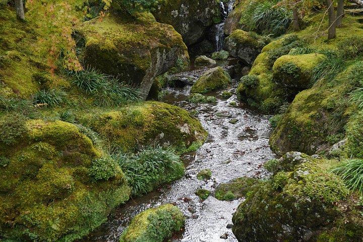 Mt. Fuji Hidden Gems: Secret Viewpoints & Instagram Spots Tour