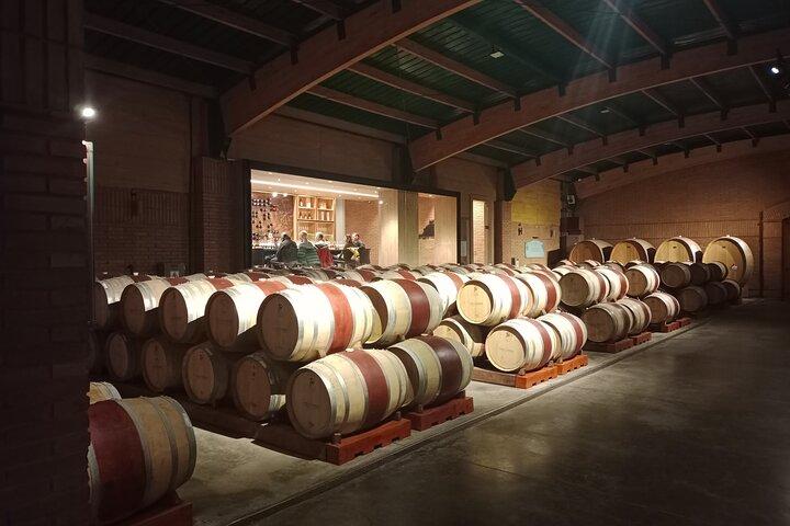 Wine Tour Casas del Bosque+Bodegas RE Vigneti Casablanca Valley