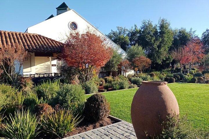Wine Tour Casas del Bosque+Bodegas RE Vigneti Casablanca Valley