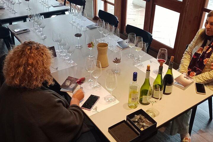 Wine Tour Casas del Bosque+Bodegas RE Vigneti Casablanca Valley