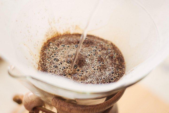Colombian Coffee Sensory Immersion From Seed to Cup