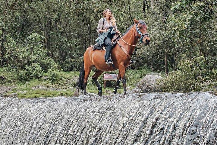 Passeio a cavalo no Vale Cocora, Mirador Dos e Rio