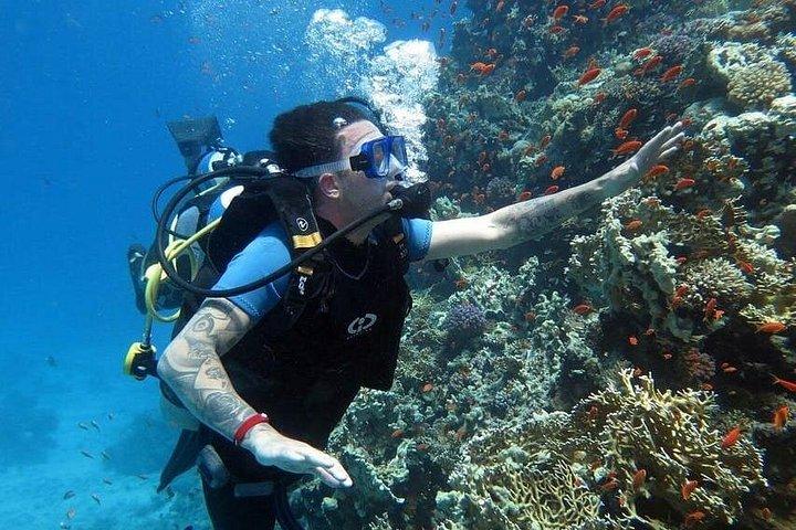 ホワイト島とラス・モハメドへのクルーズ-シャルム・エル・シェイク