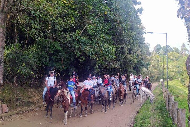 コーヒー農園、森林、ボケロン川への乗馬
