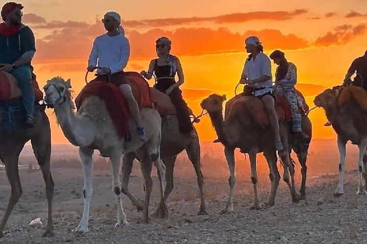 Agafay Desert dinner show with camel ride