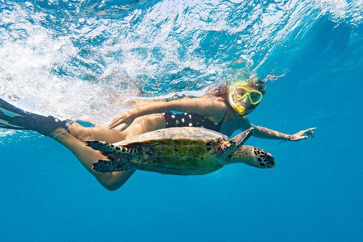 Excursão de caiaque e snorkel na lagoa St Thomas Mangrove nas Ilhas Virgens Americanas