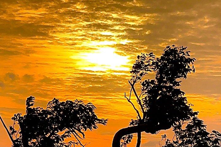 トゥクトゥクをレンタルして、ティッサの素晴らしい夕日を眺めながらハイキングに出かけましょう。