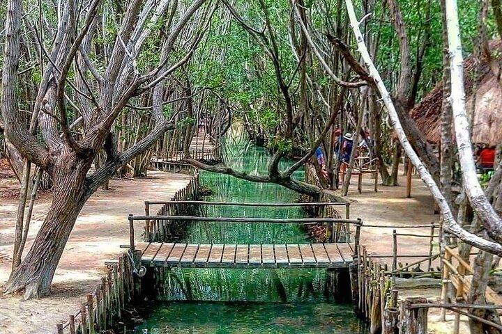 Merida: Progreso, Isla Columpios & El Corchito