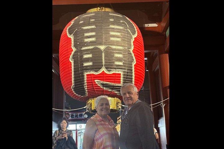 東京乗り継ぎ：空港送迎付きプライベート5時間ツアー