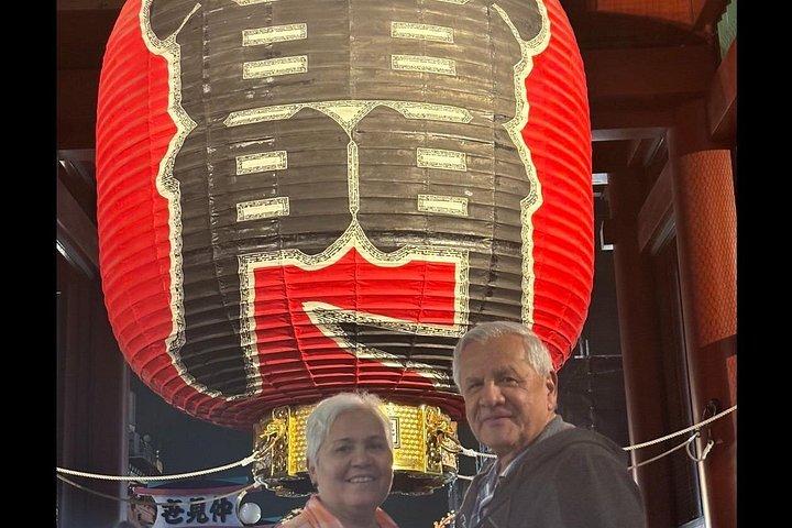 東京乗り継ぎ：空港送迎付きプライベート5時間ツアー