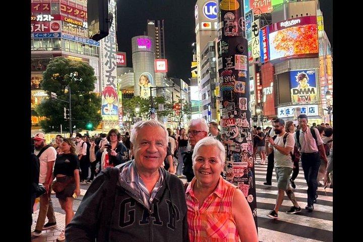 東京乗り継ぎ：空港送迎付きプライベート5時間ツアー