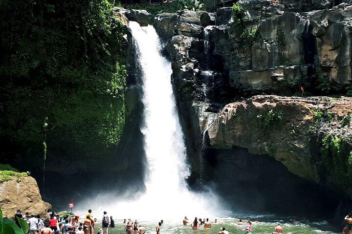 Ubud Monkey Forest And Waterfall Private Day Trip.