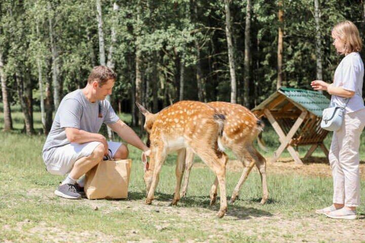 Tour personalizzato di mezza giornata di Nara con una Guida locale
