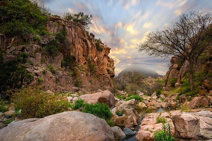 Embark On a Hiking Adventure in Taif