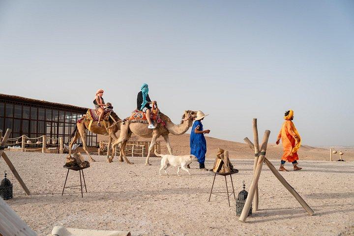 Alkamar Camp Agafay Kamelentocht met diner