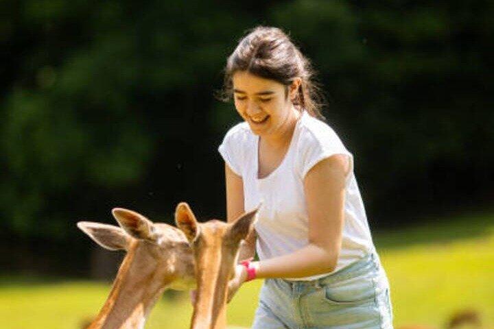 Tour personalizzato di mezza giornata di Nara con una Guida locale
