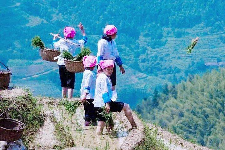 少人数グループ：龍脊棚田と少数民族の村のツアー