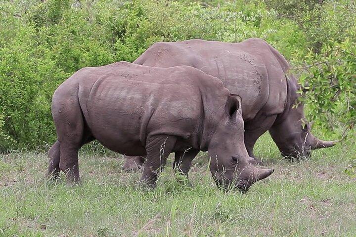 2 Days 1 Night Tour to Amboseli National Park with Jeep 4x4