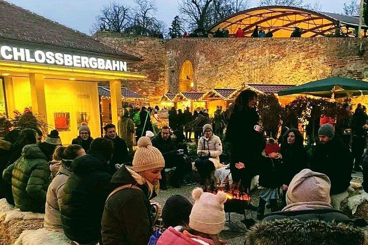 Vienna: Private tour to Graz