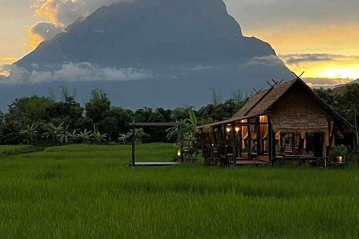 Aktiviteter i nærheden af Yatikaboutique Yoga Retreat