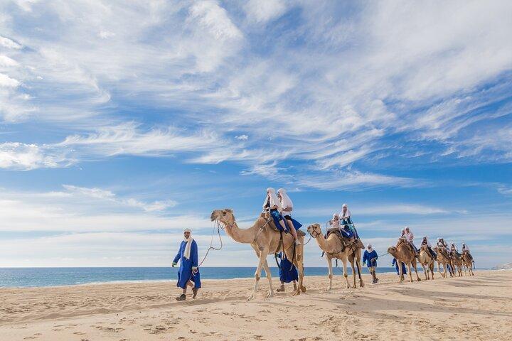 Cabo Beach Camel Ride, Buffet mexicano e degustação de tequila