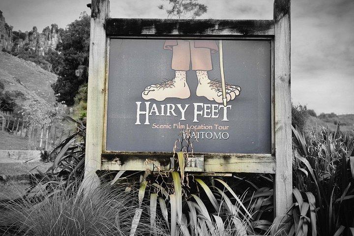 Bike Rental in Waitomo Caves