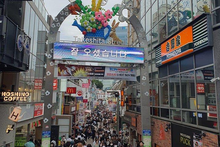 Private Tailored Tour with Local Guide in Tokyo