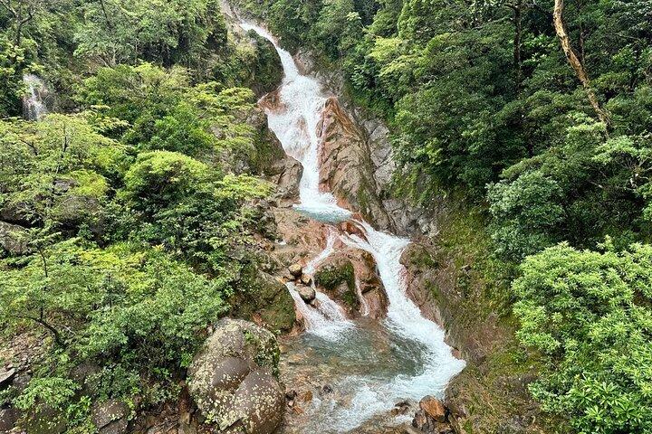 ナマケモノ観察、ミラバジェス火山、温泉、隠れた滝