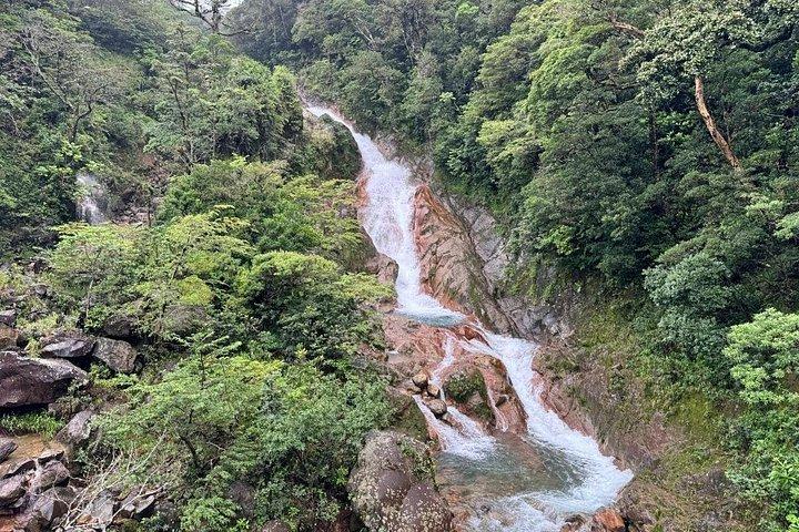 ナマケモノ観察、ミラバジェス火山、温泉、隠れた滝