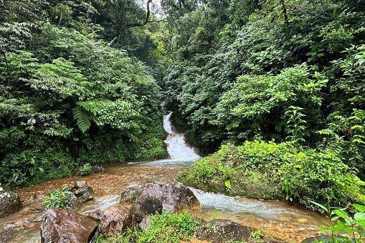 ナマケモノ観察、ミラバジェス火山、温泉、隠れた滝