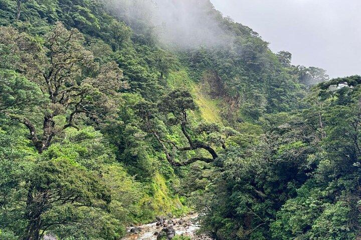 ナマケモノ観察、ミラバジェス火山、温泉、隠れた滝
