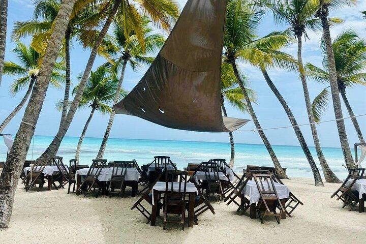 Excursão de dia inteiro à Ilha Saona com almoço buffet, paella e bar aberto