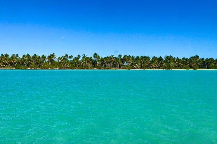 Excursão de dia inteiro à Ilha Saona com almoço buffet, paella e bar aberto