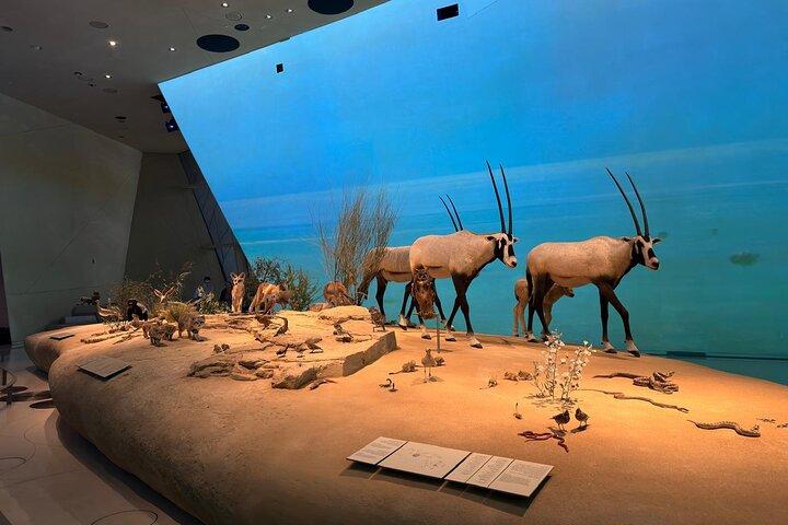 Udflugt i Doha Museum: Oplev Qatars rige kulturarv og kunst