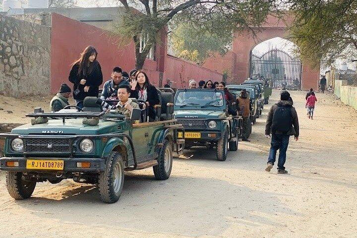 Tour privato di Jhalana Wildlife in jeep Safari a Jaipur
